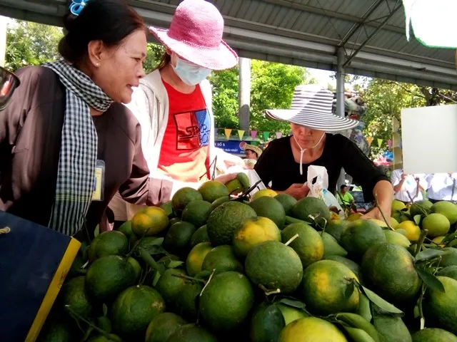 Hấp dẫn trái cây tươi ngon của Nam bộ ảnh 4