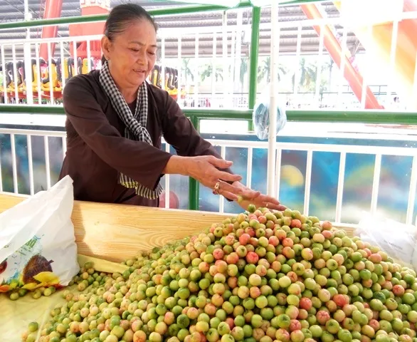 Hấp dẫn trái cây tươi ngon của Nam bộ ảnh 12