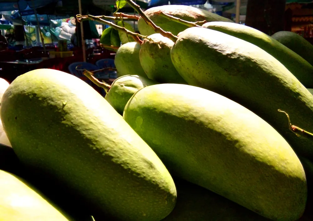 Hấp dẫn trái cây tươi ngon của Nam bộ ảnh 8