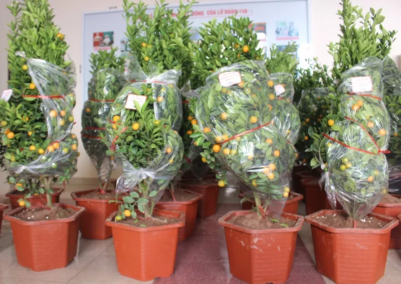 Chuyển quà Tết đến với Trường Sa thân yêu ảnh 4