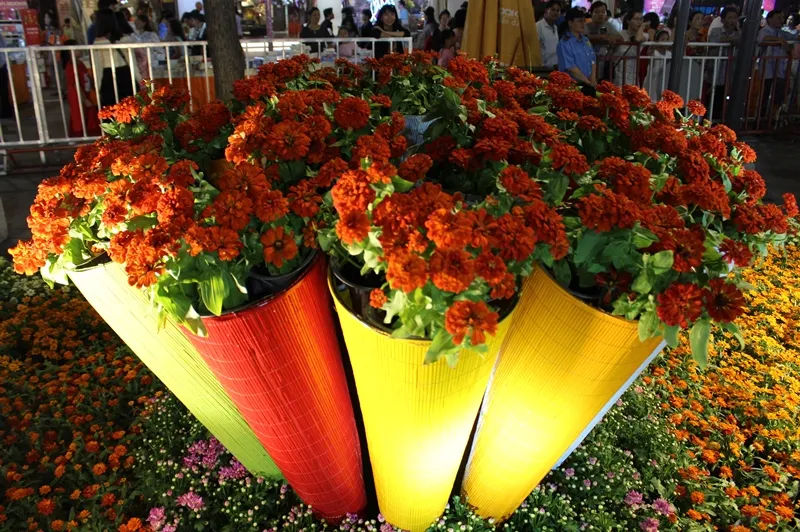 Hãy đến trải nghiệm đường hoa và đường sách rất thú vị trong kỳ nghỉ tết ở TPHCM ảnh 8