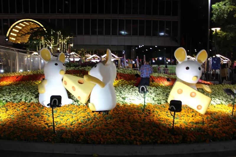 Hãy đến trải nghiệm đường hoa và đường sách rất thú vị trong kỳ nghỉ tết ở TPHCM ảnh 7