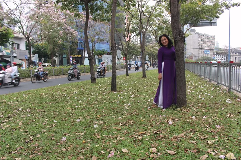 Hoa kèn hồng khoe sắc trên đại lộ ảnh 9