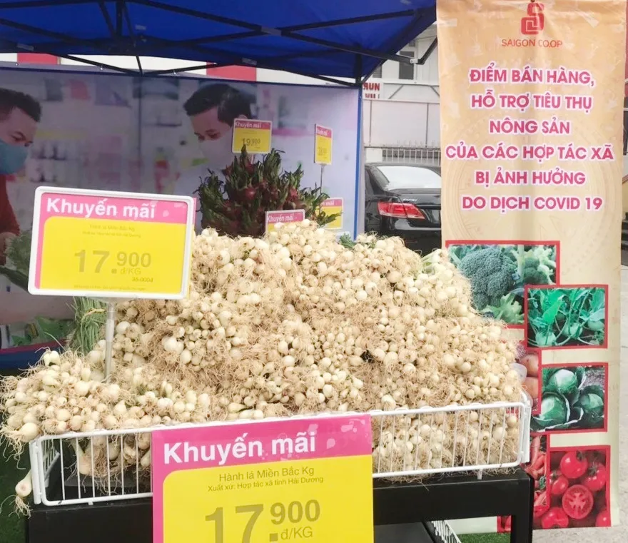 Nhiều siêu thị tham gia “giải cứu” nông sản Hải Dương, Hải Phòng ảnh 4
