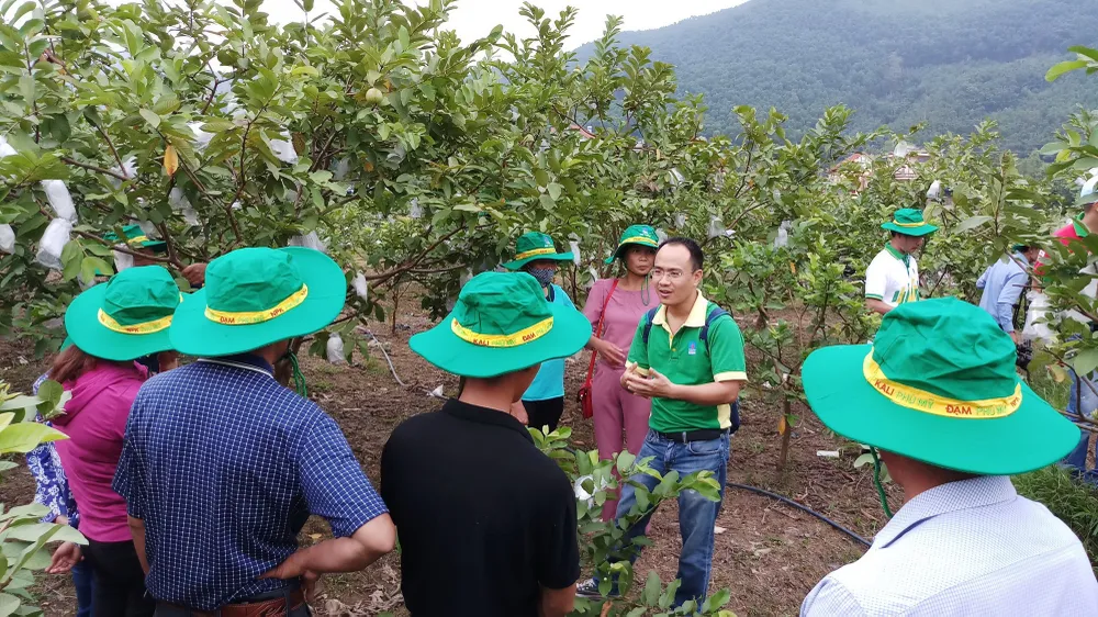 Phân bón Phú Mỹ lần thứ 4 liên tiếp được công nhận là Thương hiệu Quốc gia ảnh 2