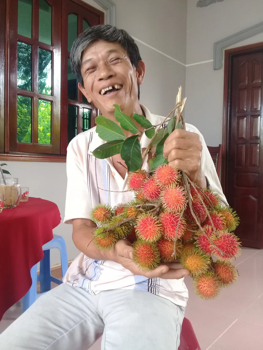 Phát hiện giống chôm chôm mới cực ngon tại Bến Tre ảnh 1