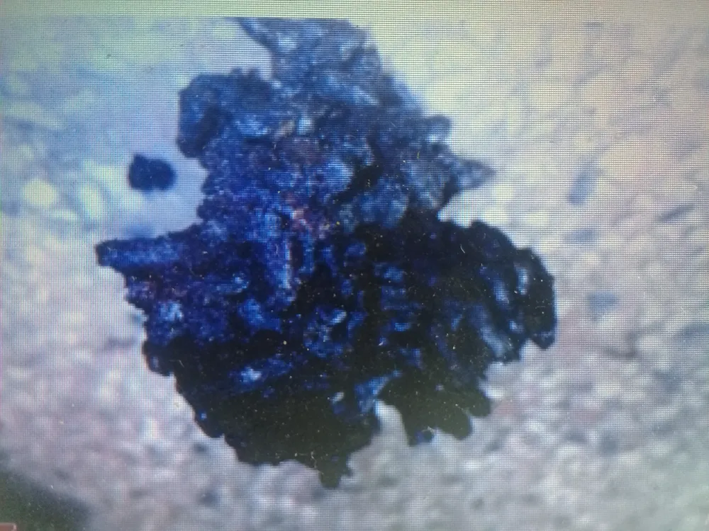 Nghi vấn gạo giả nấu lên chuyển màu đen, vón cục ở Đồng Tháp ảnh 2