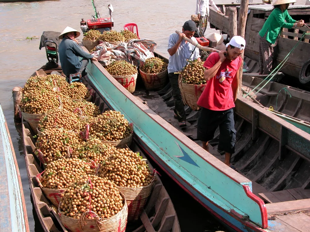 Xuất khẩu rau quả hướng tới 4,5 tỷ USD ảnh 2