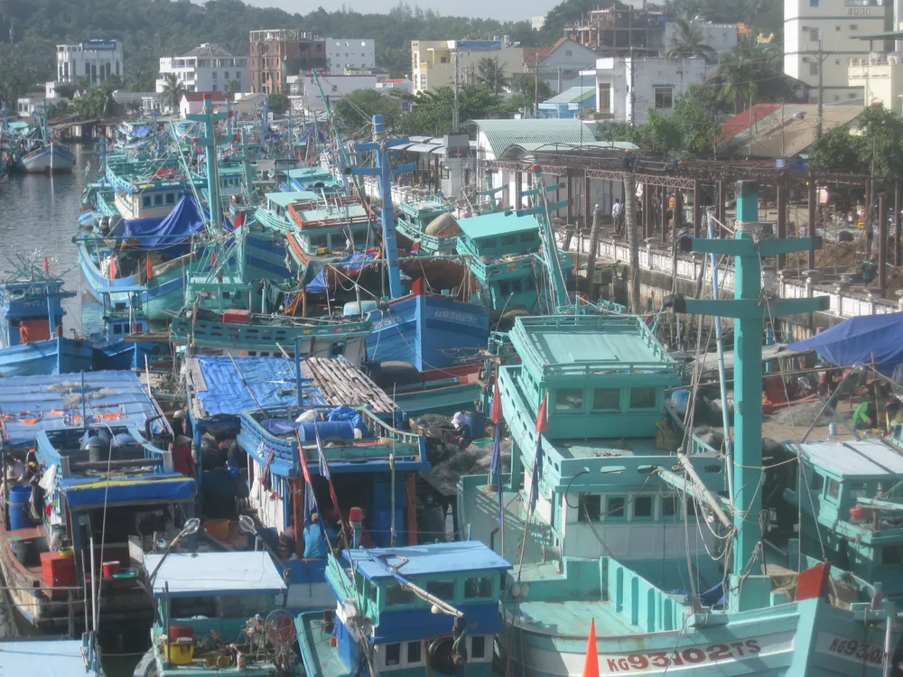 ĐBSCL: Triển khai sơ tán dân tránh bão số 16 ảnh 3