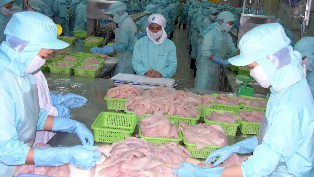 Năm 2018, xuất khẩu cá tra phấn đấu đạt kim ngạch 2- 2,2 tỷ USD ảnh 1