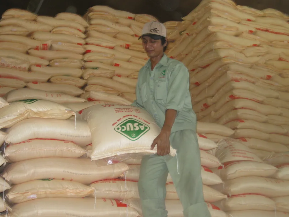 Nông dân ĐBSCL ào ạt phá bỏ ruộng mía ảnh 4