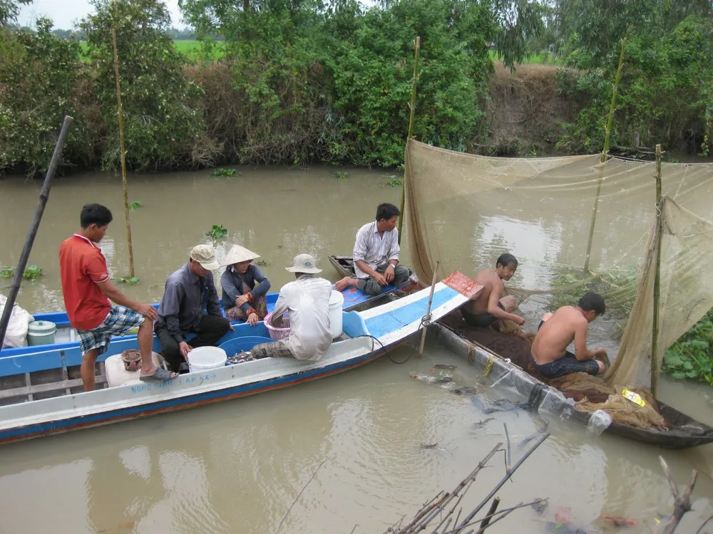 Đồng Tháp: Cấm khai thác thủy sản trong mùa sinh sản  ảnh 1