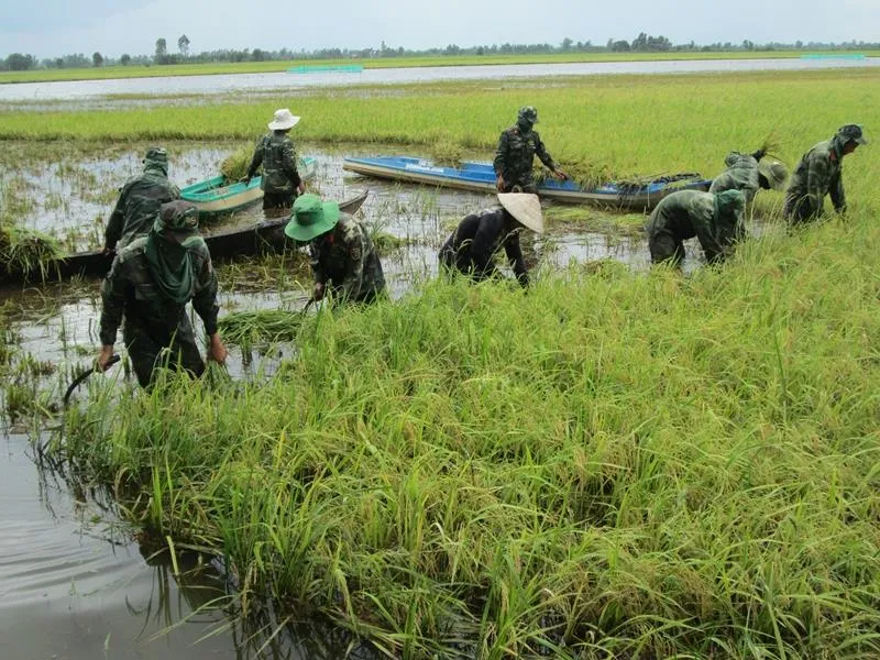 ĐBSCL: Lũ năm nay cao hơn năm 2017  ảnh 3