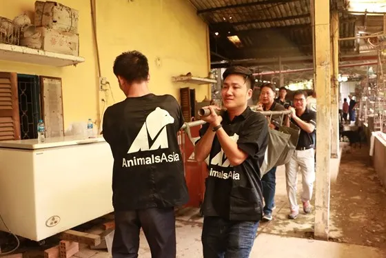 Tiền Giang chuyển giao 5 cá thể gấu tới Vườn Quốc gia Tam Đảo ảnh 6