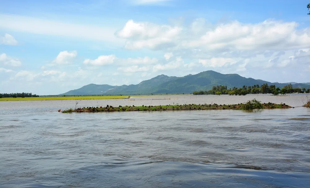 Nước lũ từ Campuchia chảy rất mạnh về vùng biên giới Tri Tôn. Ảnh: HUỲNH LỢI