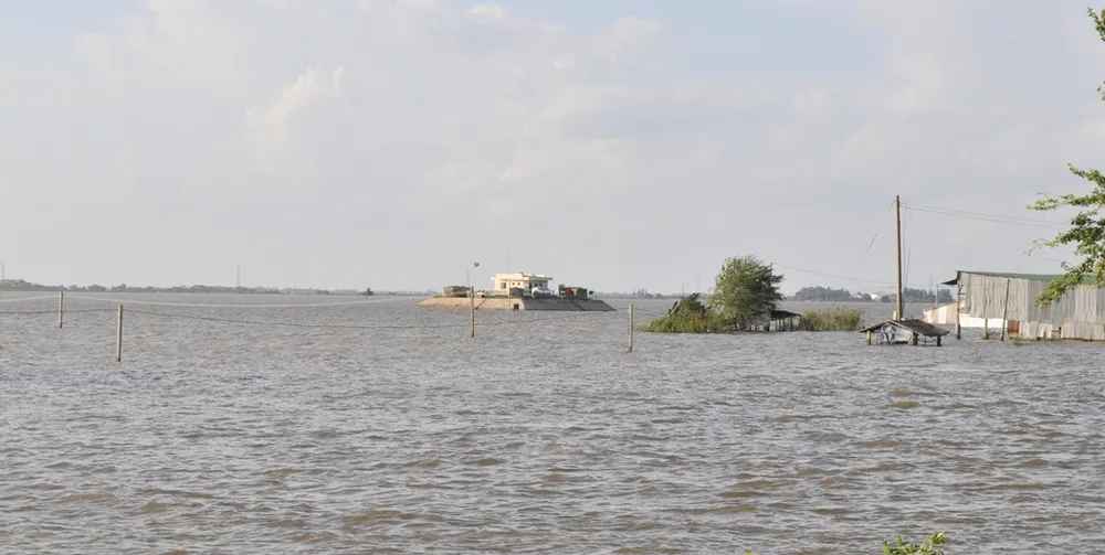 Nông dân ĐBSCL nhanh chóng thu hoạch lúa chạy lũ ảnh 1