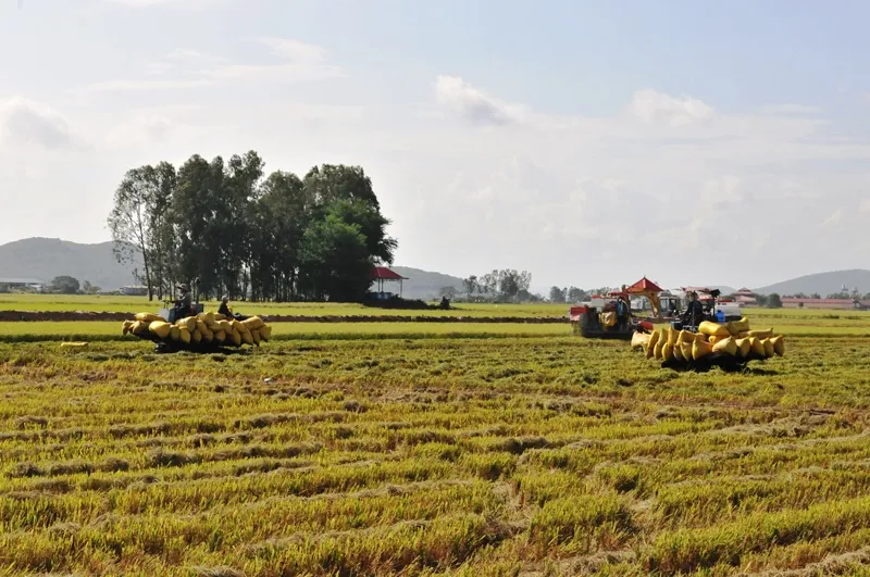 Mực nước lũ tại ĐBSCL sẽ lên trong vài ngày tới ảnh 1