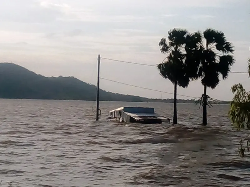 Lũ 2018 làm mất trắng khoảng 2.000ha lúa ở ĐBSCL  ảnh 1