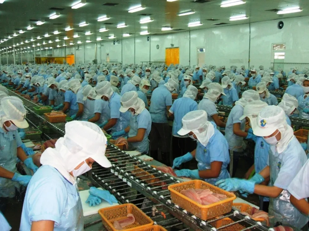  4.000 tỷ đồng xây dựng vùng nuôi cá tra công nghệ cao lớn nhất ĐBSCL ảnh 3