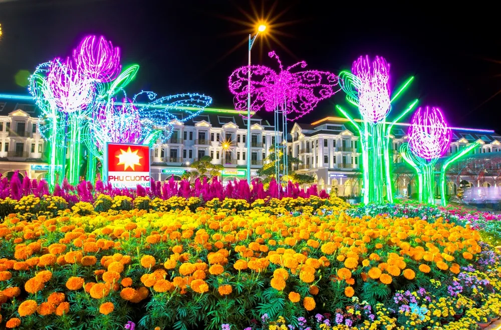 Chiêm ngưỡng đường hoa xuân hàng chục tỷ đồng ở phố biển Rạch Giá ảnh 5