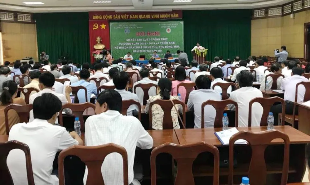 Tập trung xuống giống hơn 1,6 triệu ha lúa hè thu né rầy và hạn mặn ảnh 1