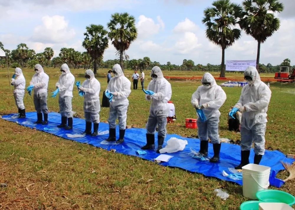 An Giang diễn tập ứng phó khẩn cấp với dịch tả heo châu Phi ảnh 2