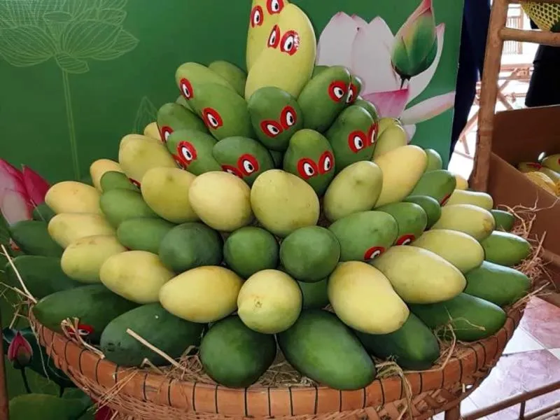 Xoài Đồng Tháp được xuất khẩu sang Mỹ, góp phần gia tăng giá trị sản xuất ngành nông nghiệp 