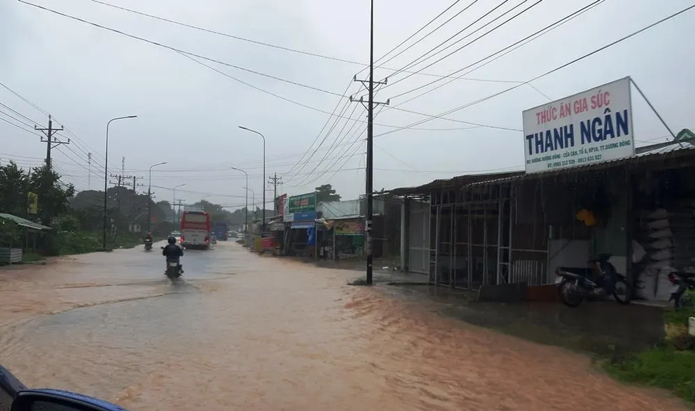 Gần 1 tỷ đồng hỗ trợ các hộ dân bị thiên tai tại Kiên Giang ảnh 3