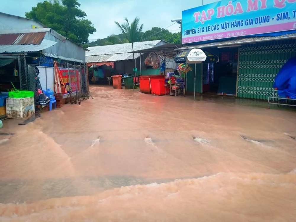 Gần 1 tỷ đồng hỗ trợ các hộ dân bị thiên tai tại Kiên Giang ảnh 6