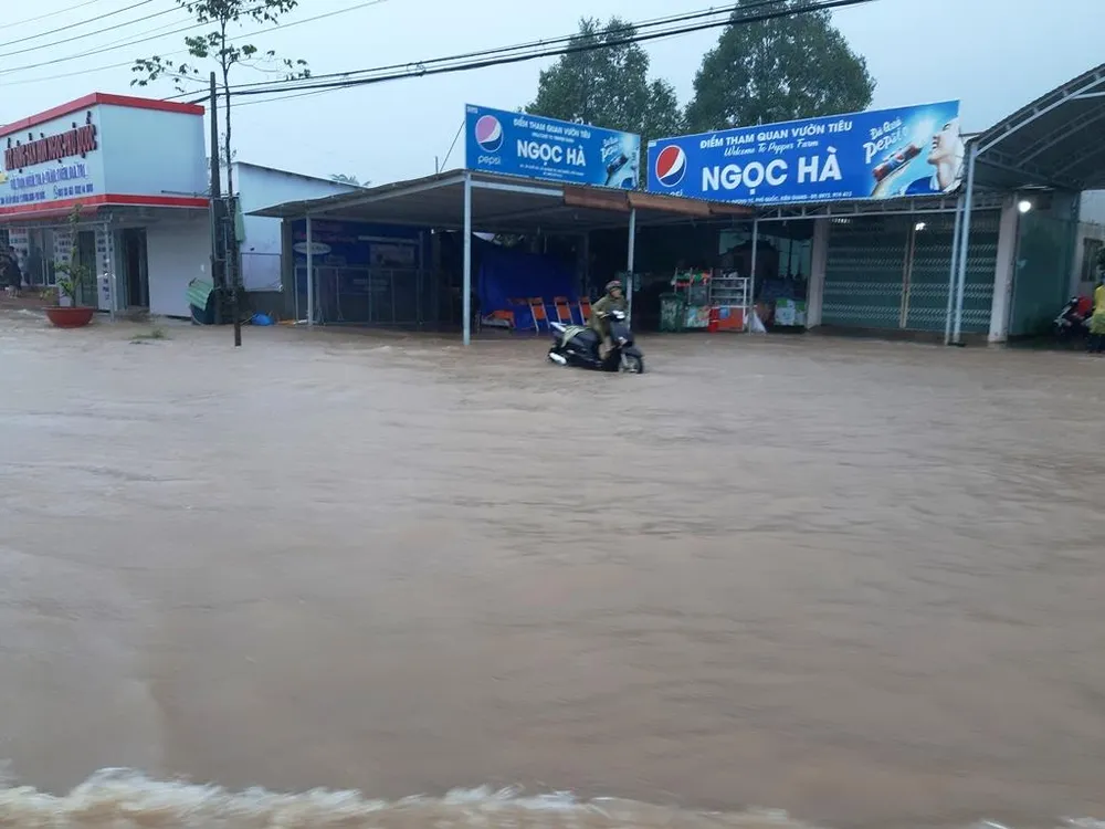 Đảo ngọc Phú Quốc “chìm” trong… biển nước ảnh 6