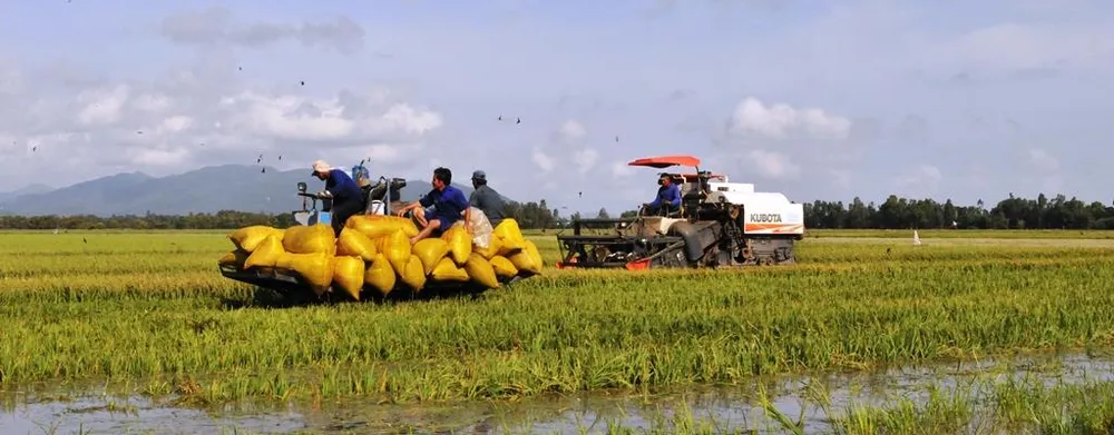 ĐBSCL: Chuyển hướng sản xuất theo kinh tế nông nghiệp ảnh 4