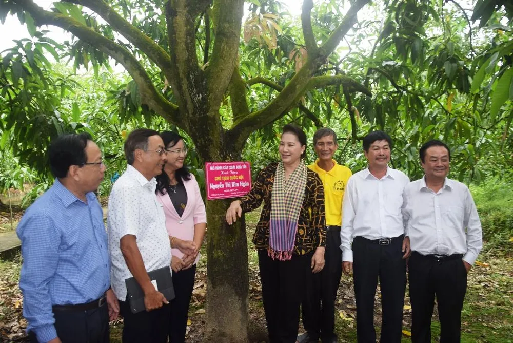 Chủ tịch Quốc hội Nguyễn Thị Kim Ngân: Đồng Tháp là điểm sáng trong mô hình liên kết nông dân ảnh 2