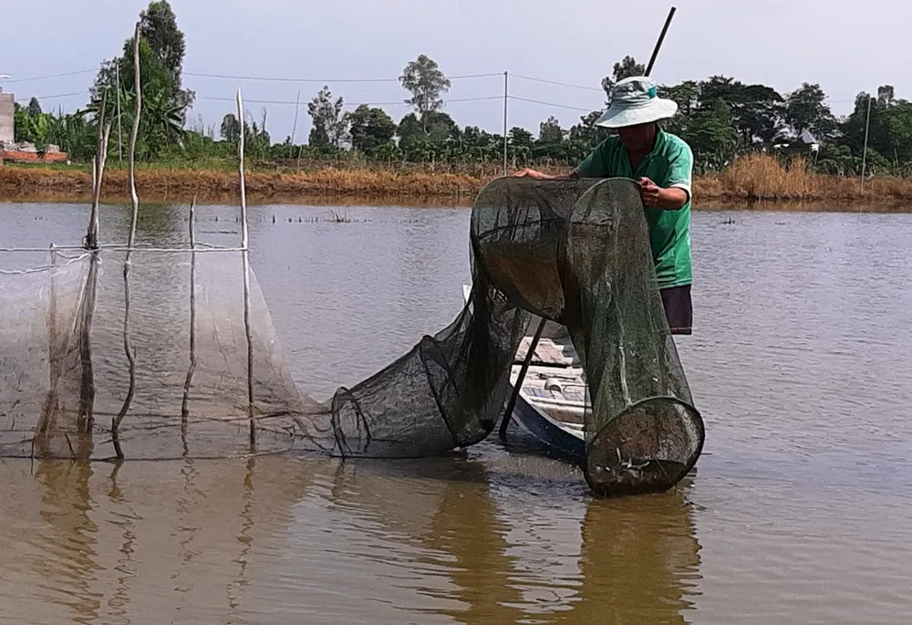 ĐBSCL: Nước lũ ở Tân Châu đã vượt báo động 1 ảnh 1