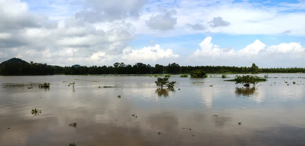 Xả lũ đập Trà Sư đưa nước vào vùng Tứ giác Long Xuyên ảnh 2