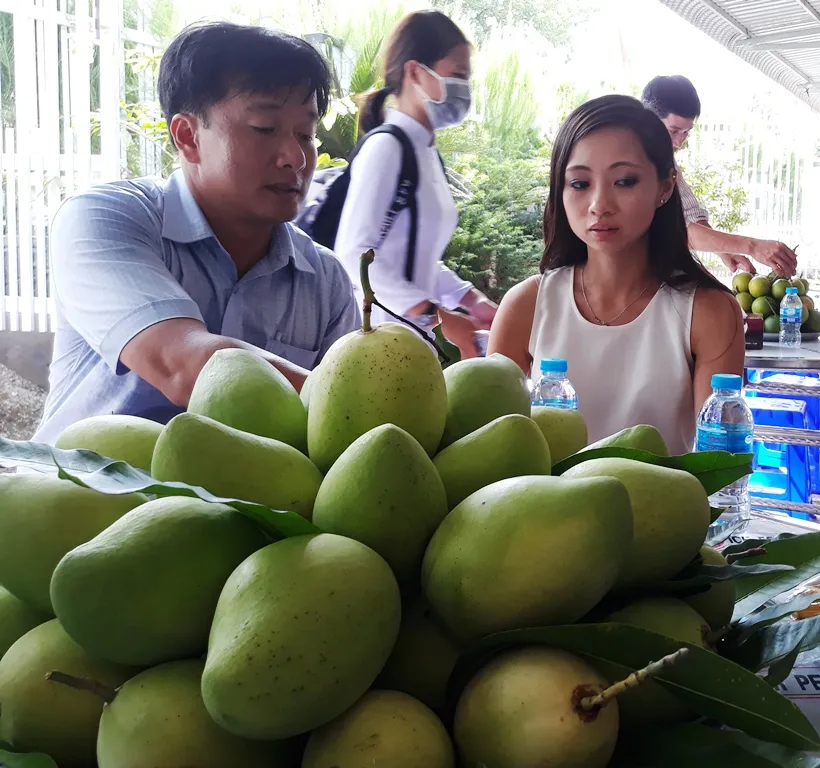 Nhiều mô hình sáng tạo trong xây dựng nông thôn mới ở Đồng Tháp  ảnh 1