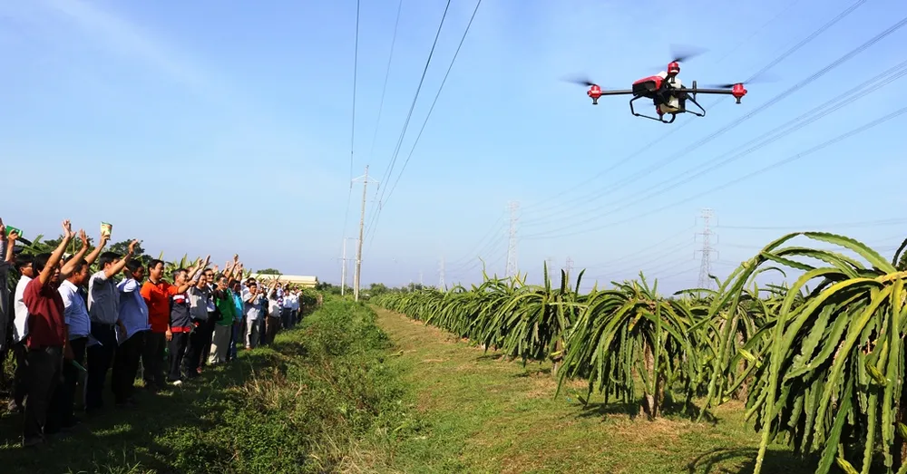 Ra mắt Bệnh viện Cây ăn quả ở ĐBSCL  ảnh 2