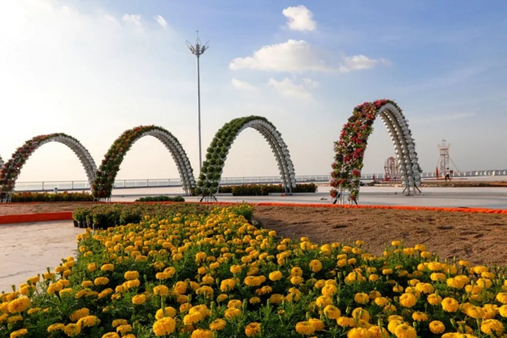 Rực rỡ những đường hoa xuân phục vụ Tết Canh Tý ở ĐBSCL ảnh 13