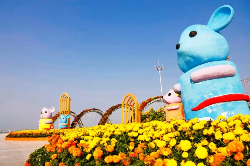 Rực rỡ những đường hoa xuân phục vụ Tết Canh Tý ở ĐBSCL ảnh 16