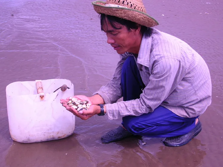 Bến Tre kiến nghị Chính phủ hỗ trợ 250 tỷ đồng xây hồ chứa nước ngọt ảnh 1