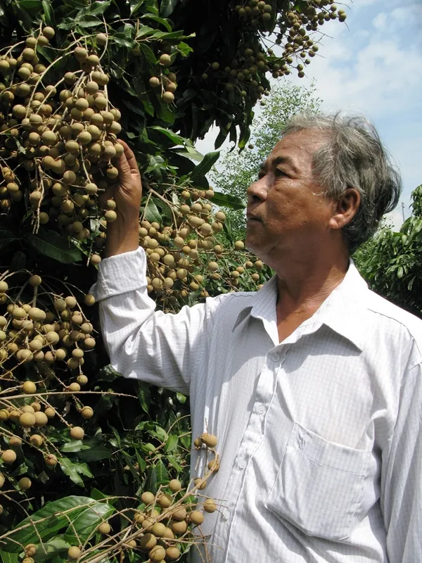 Châu Thành tổ chức đại hội điểm cấp huyện đầu tiên ở Đồng Tháp ảnh 1