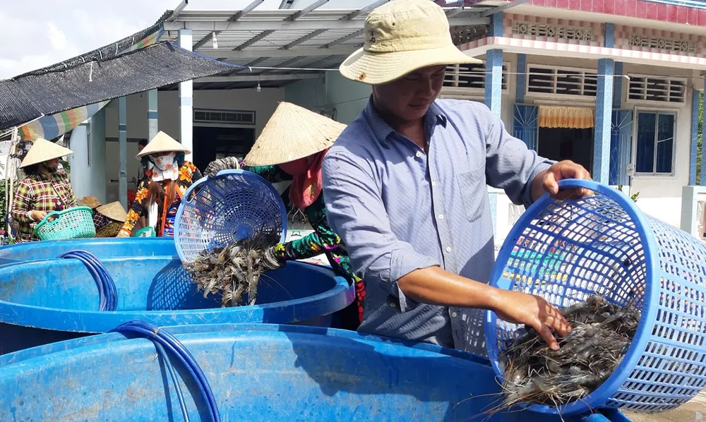 Vĩnh Thuận phấn đấu bình quân thu nhập đầu người đạt 70 triệu đồng  ảnh 2