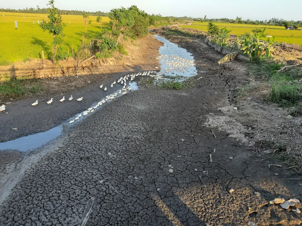  Phát triển thủy lợi ở ĐBSCL theo hướng tự động hóa ảnh 1