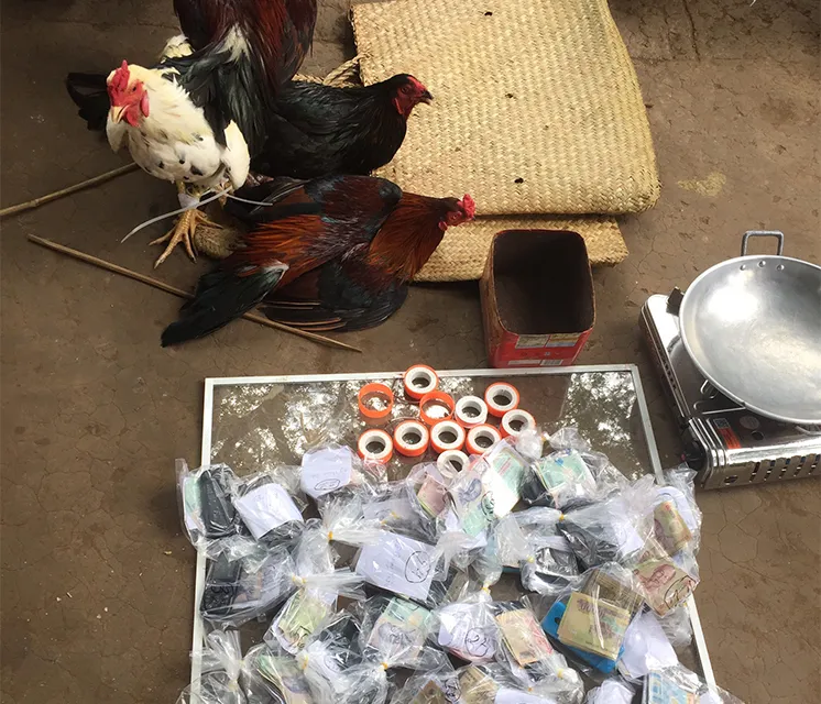 Bắt 37 đối tượng đá gà ăn tiền ở An Giang  ảnh 1