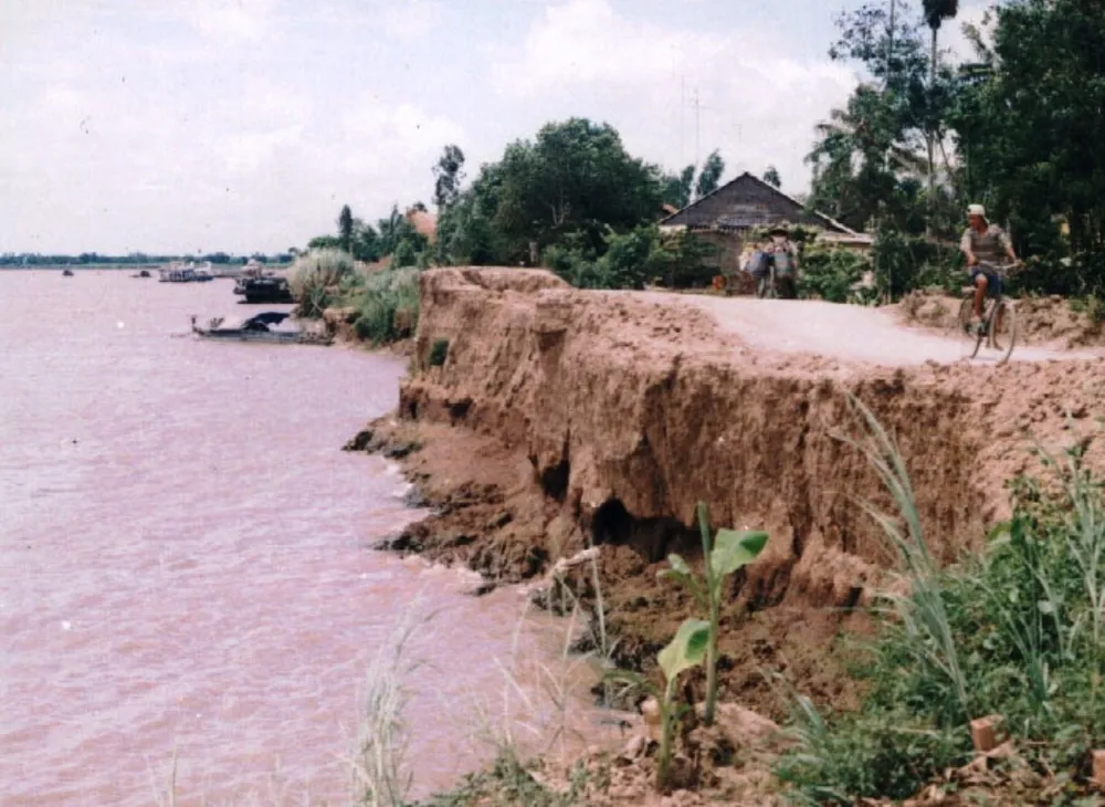 Cử tri bức xúc tình trạng khai thác cát và cò lúa  ảnh 1