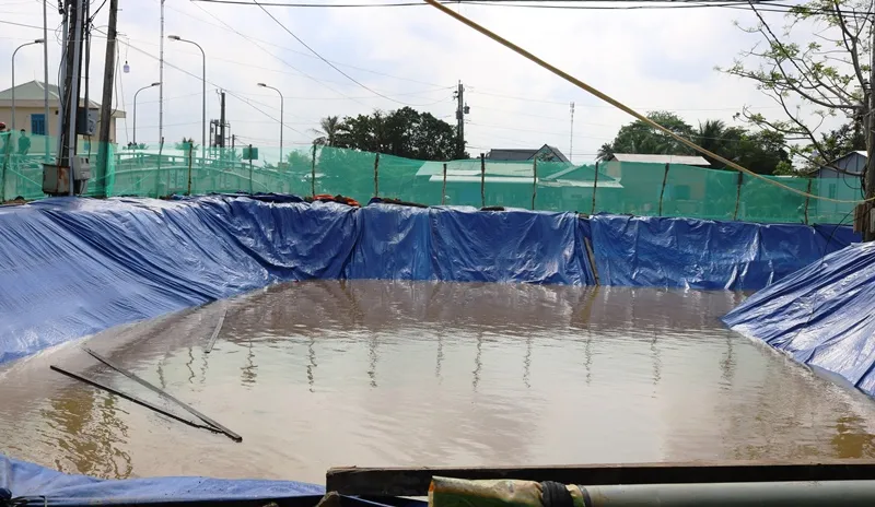 Nông dân sản xuất lúa đông xuân ở ĐBSCL được mùa, được giá   ảnh 4