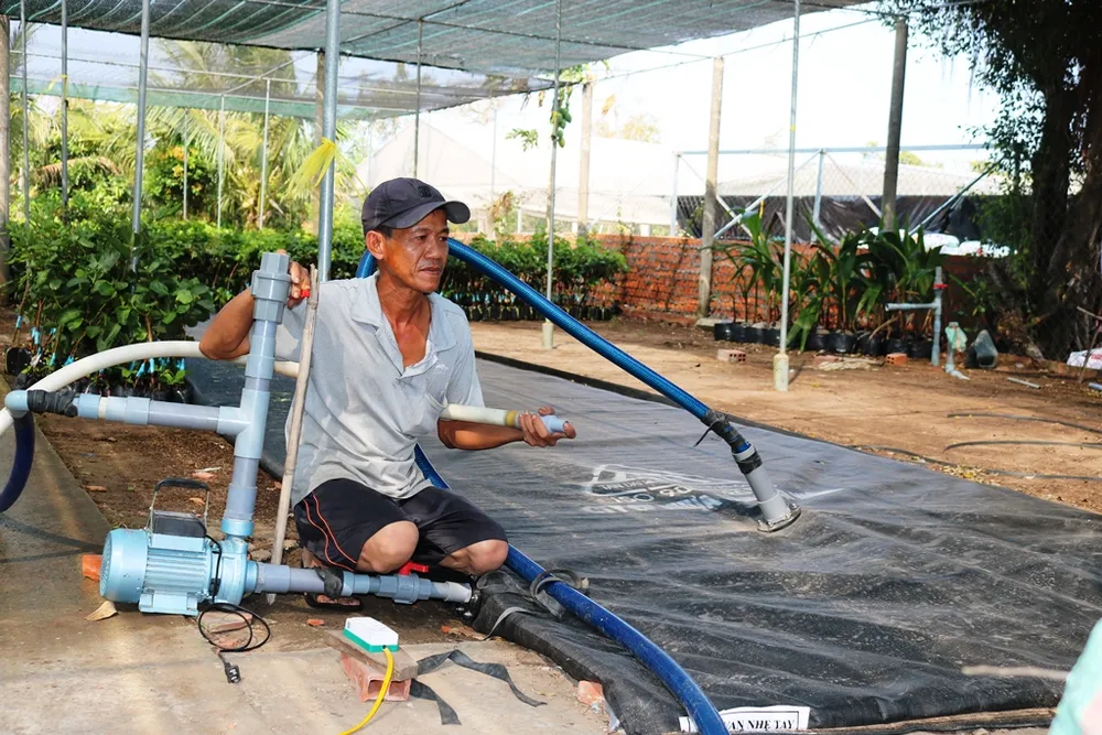 Nông dân sản xuất lúa đông xuân ở ĐBSCL được mùa, được giá   ảnh 3