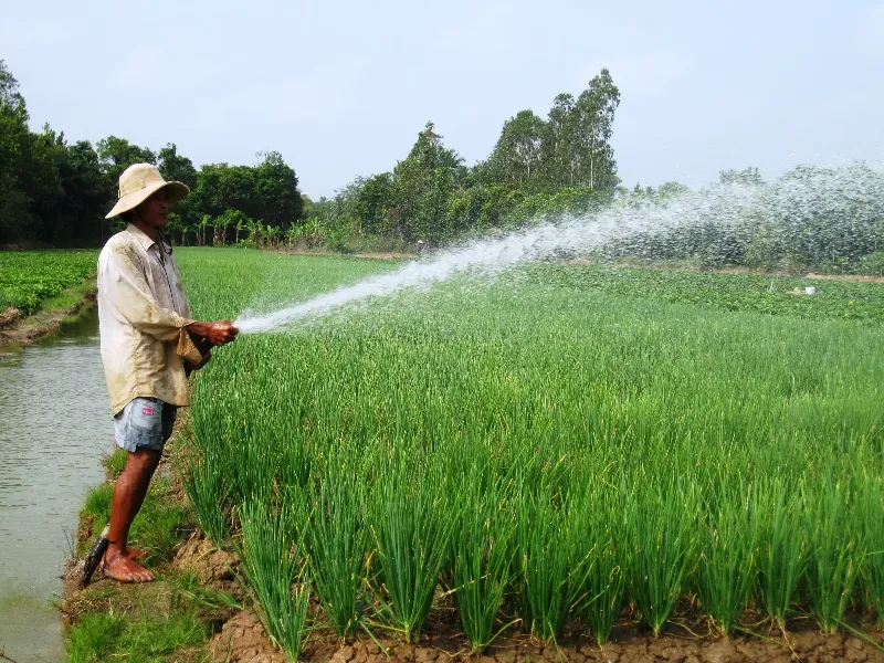 ĐBSCL: Xâm nhập mặn có xu thế giảm, nhưng vẫn ở mức cao ảnh 1