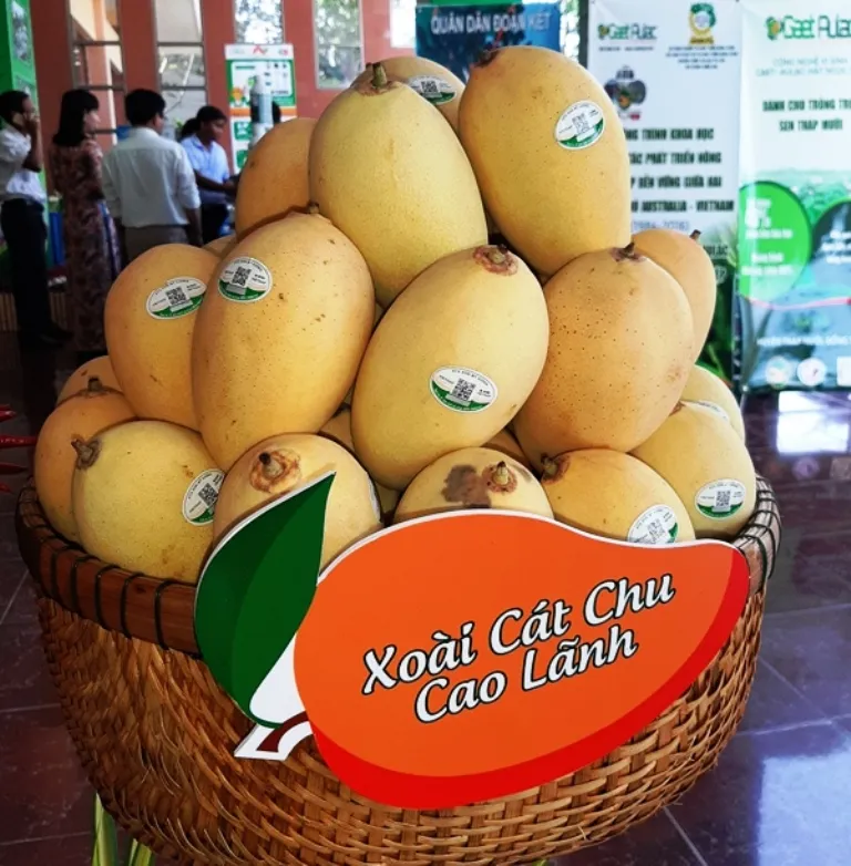 Xuất khẩu xoài đạt trên 180 triệu USD  ảnh 3