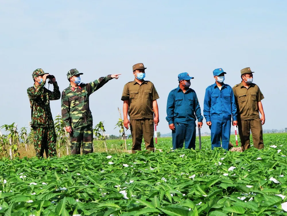 An Giang tạm dừng một số dịch vụ không thực sự cần thiết ảnh 2