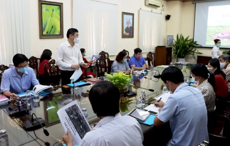 Đẩy mạnh tiêu thụ khoai lang cho nông dân với giá 3.000 - 5.000 đồng/kg ảnh 1